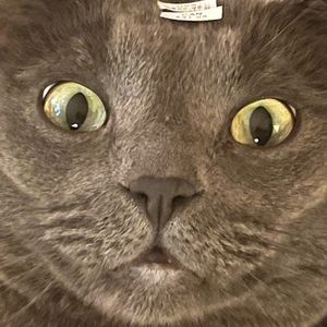 Meet your Posher, Liam